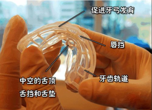 2025澳门原料大全