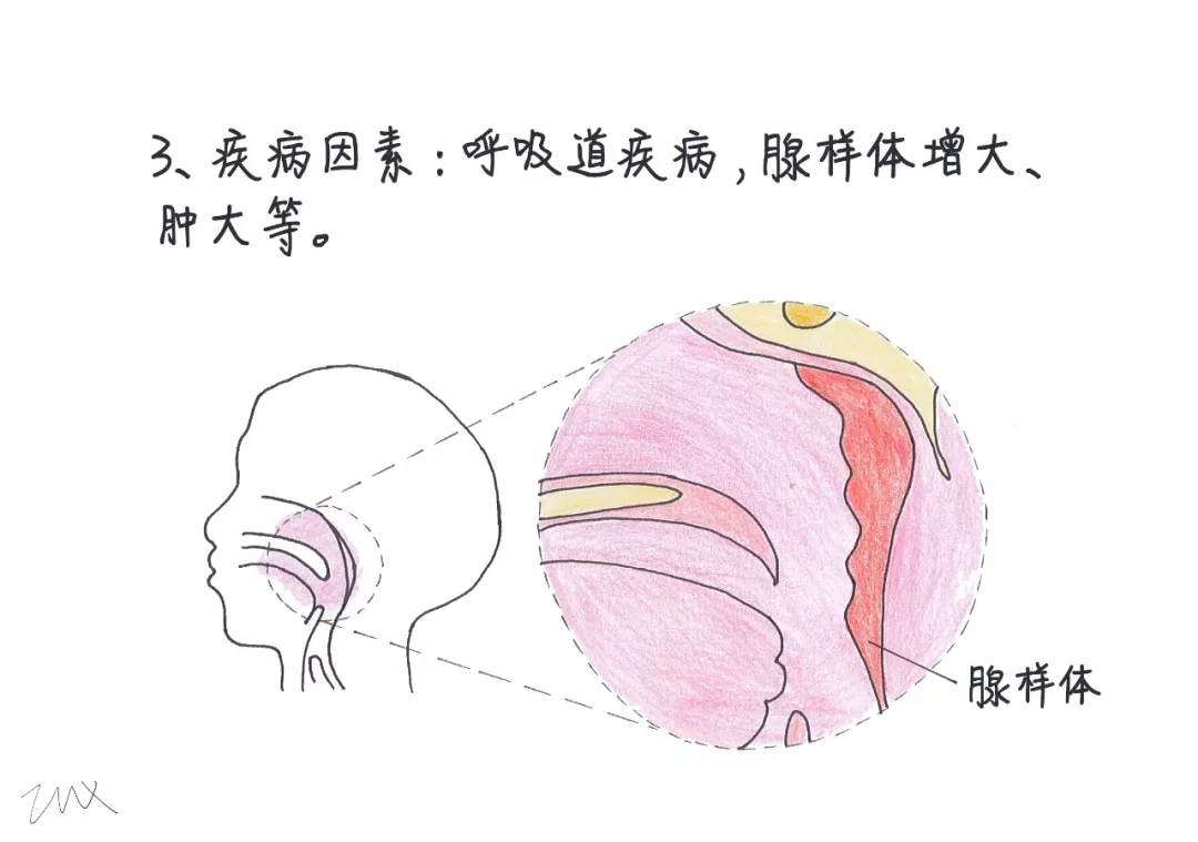 2025澳门原料大全