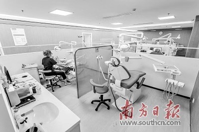 2025澳门原料大全