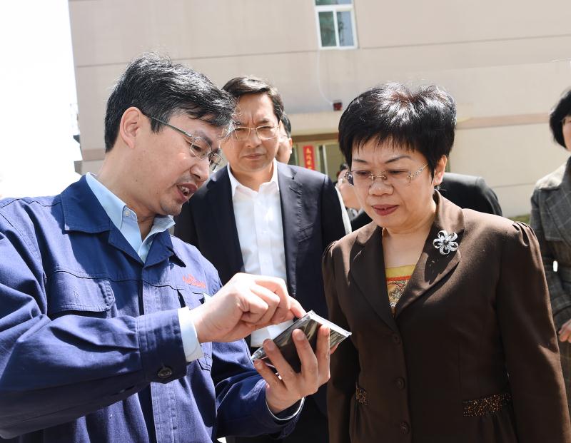 市委、临海市委领导莅临公司调研